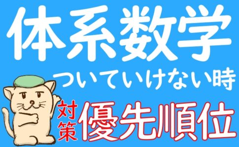 体系数学についていけない時の対策