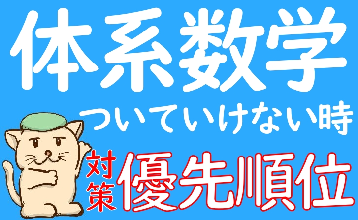 体系数学についていけない時の対策